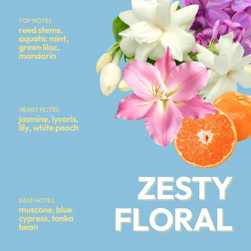 Big Head Energy Hydrating Conditioner