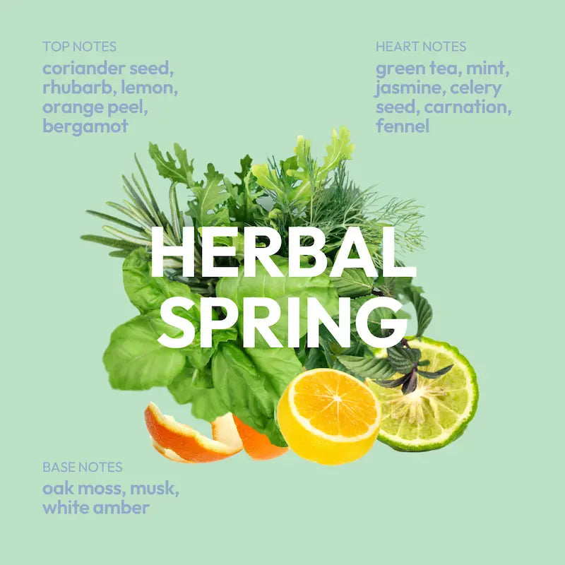 Scalp Hero Balancing Shampoo